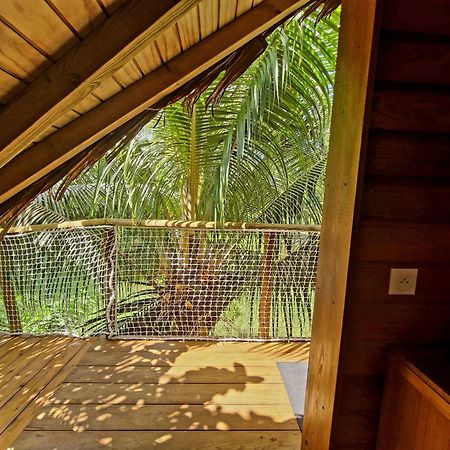 Pura Vida Lodge Cabane Perchee サント・ローズ エクステリア 写真