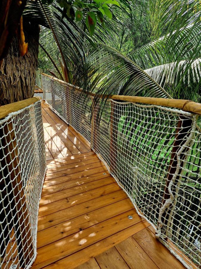 Pura Vida Lodge Cabane Perchee サント・ローズ エクステリア 写真