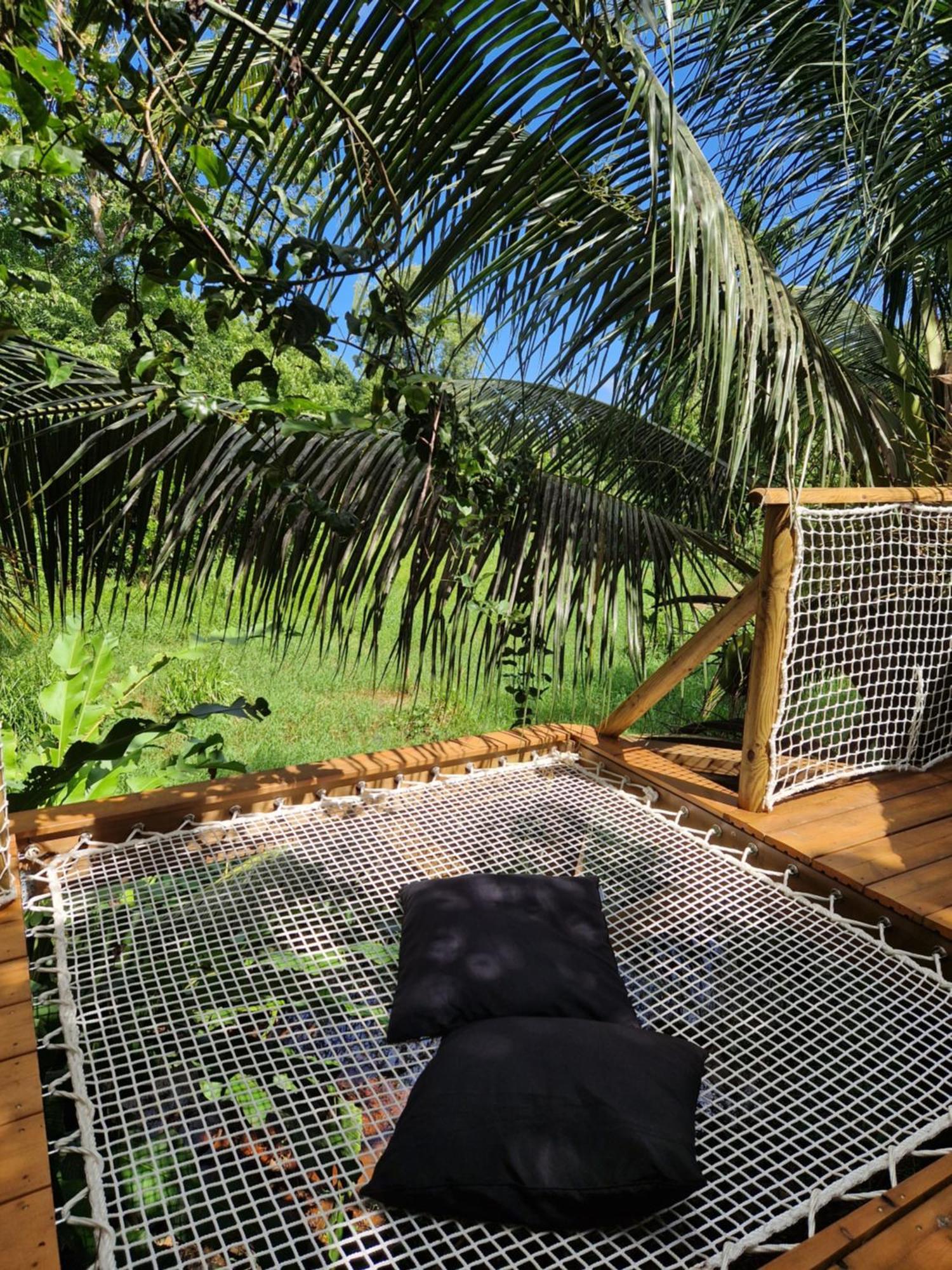 Pura Vida Lodge Cabane Perchee サント・ローズ エクステリア 写真