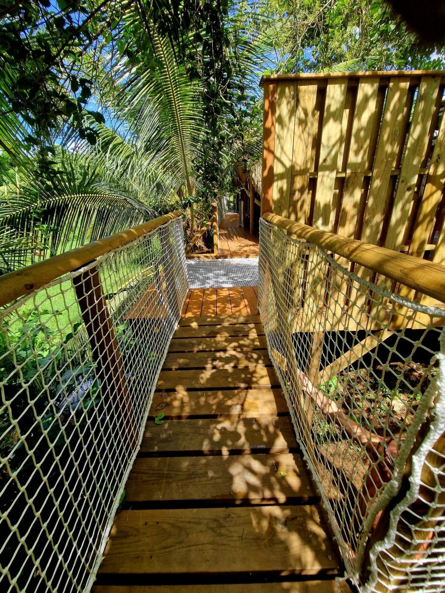 Pura Vida Lodge Cabane Perchee サント・ローズ エクステリア 写真