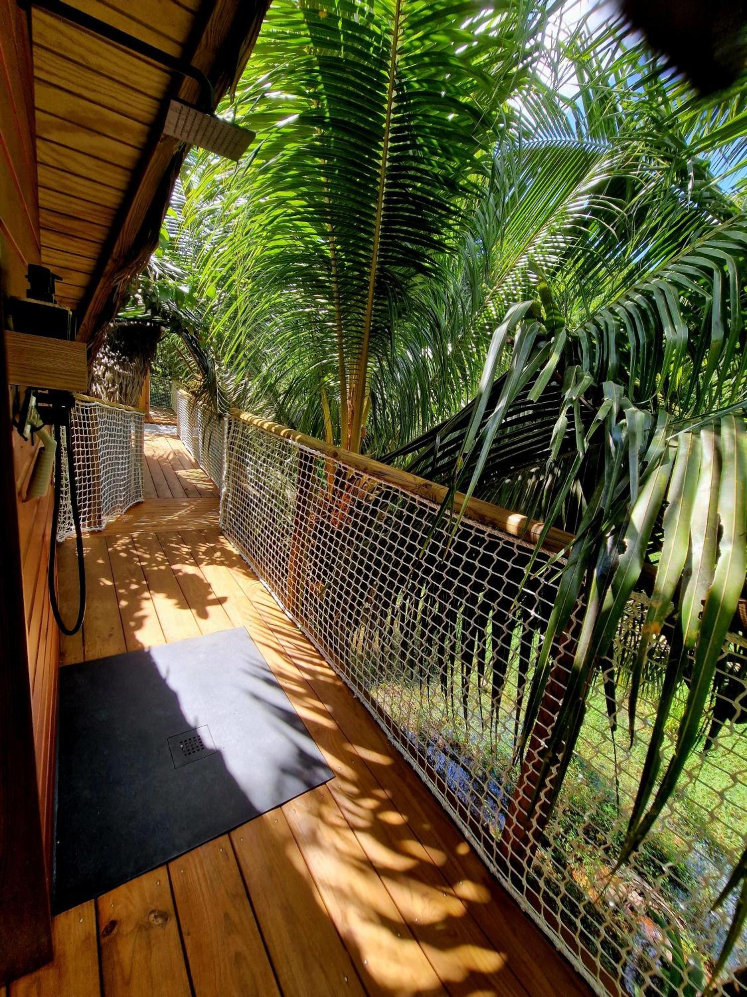 Pura Vida Lodge Cabane Perchee サント・ローズ エクステリア 写真
