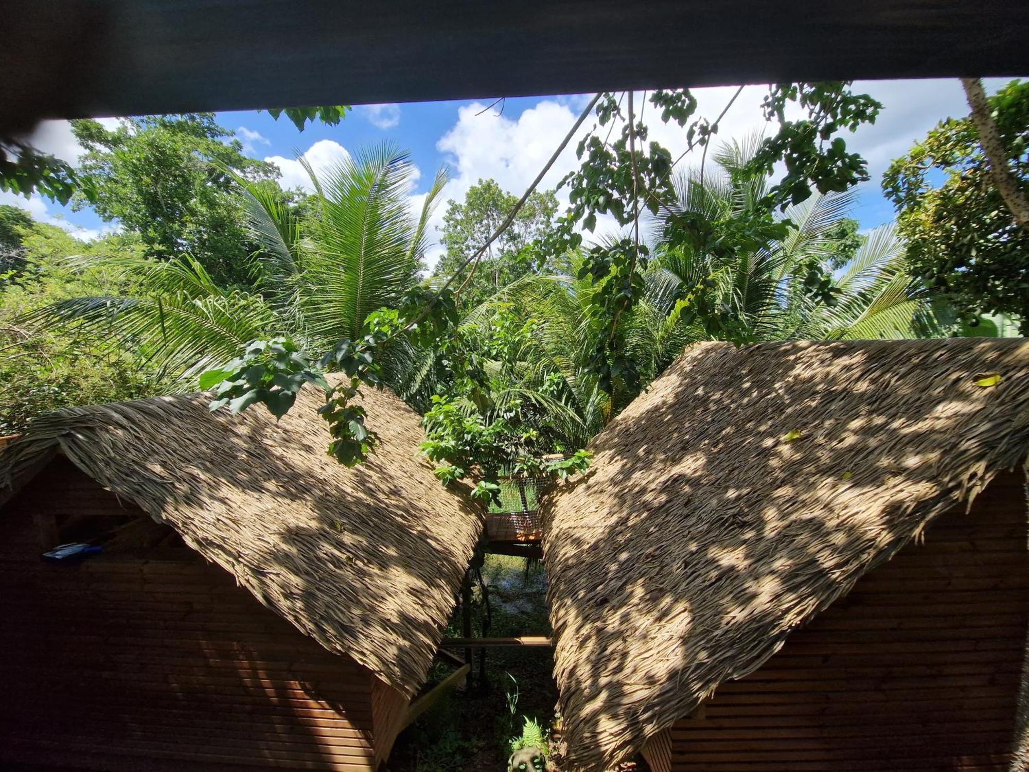 Pura Vida Lodge Cabane Perchee サント・ローズ エクステリア 写真