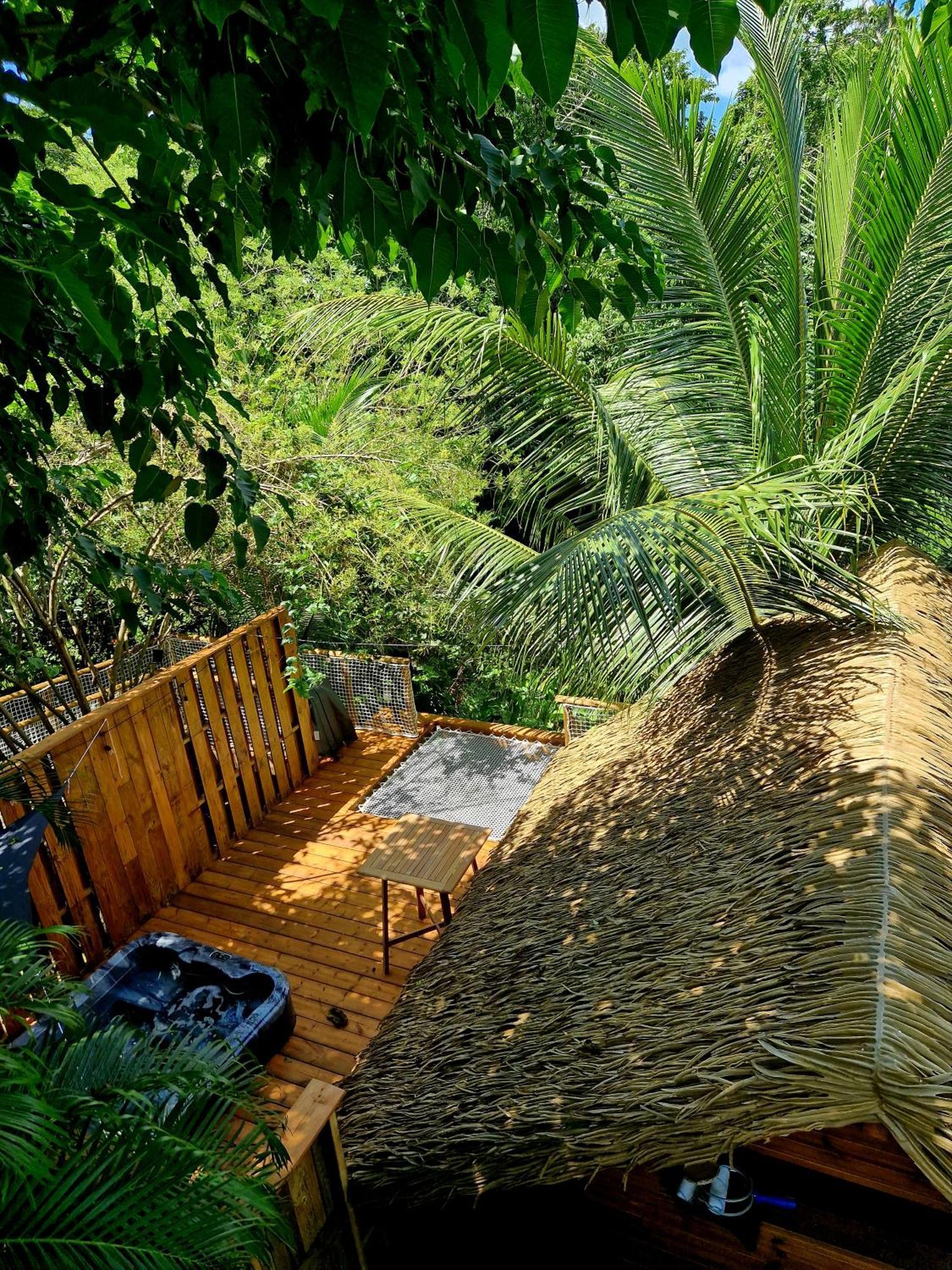 Pura Vida Lodge Cabane Perchee サント・ローズ エクステリア 写真