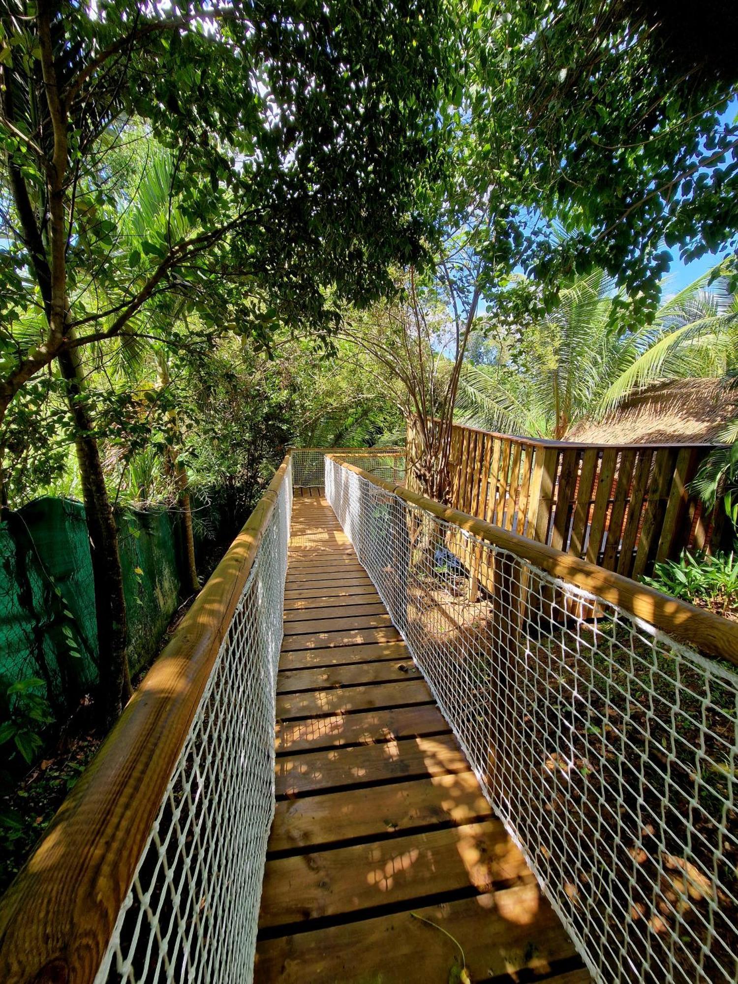 Pura Vida Lodge Cabane Perchee サント・ローズ エクステリア 写真