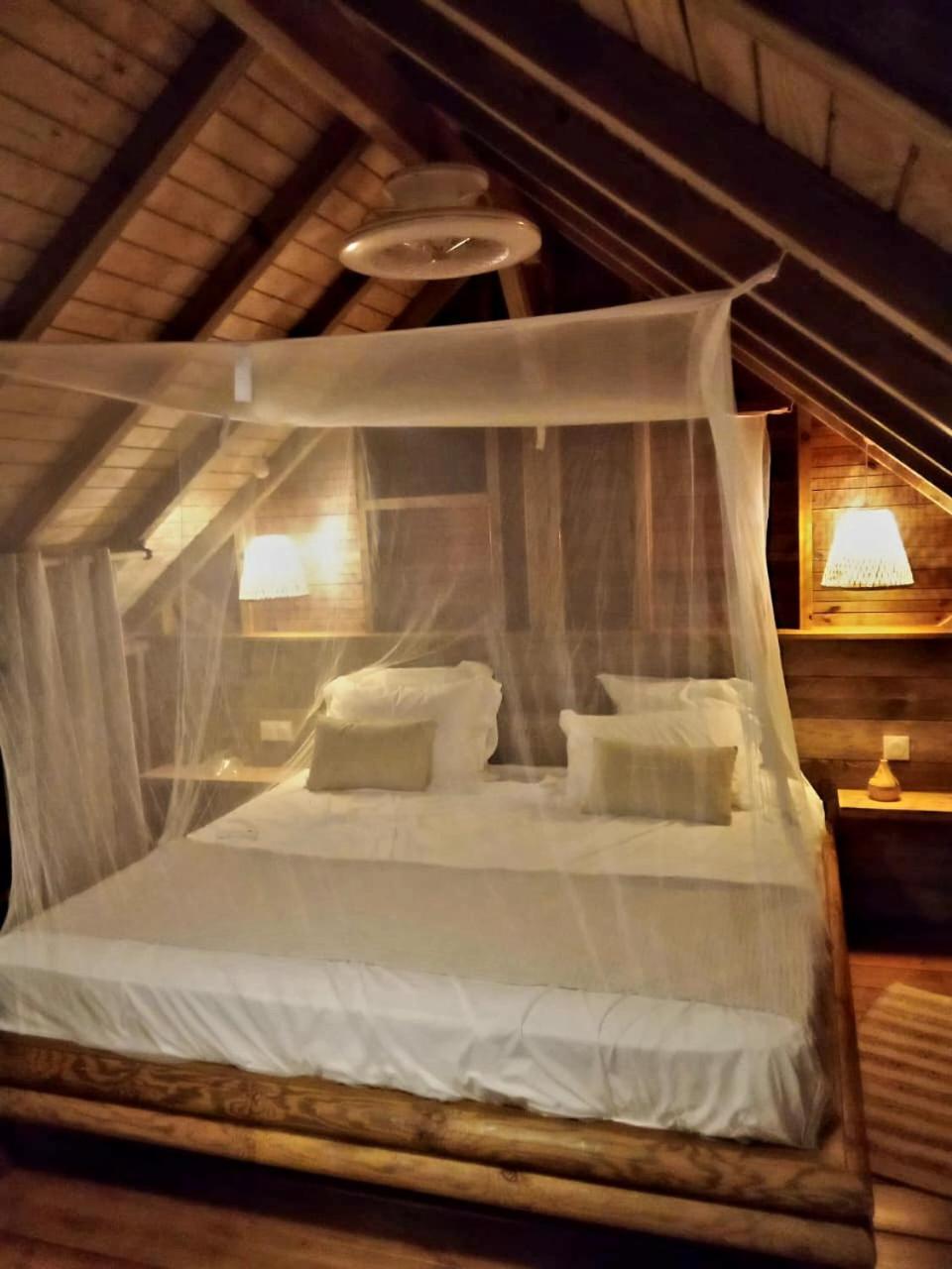 Pura Vida Lodge Cabane Perchee サント・ローズ エクステリア 写真
